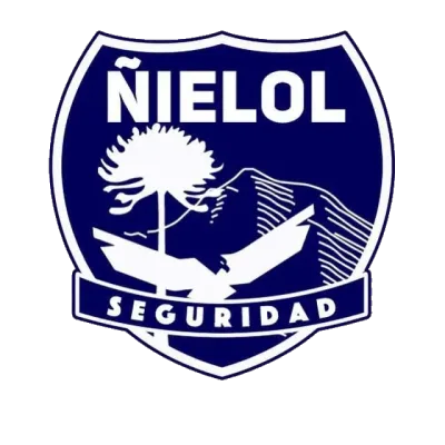 Seguridad Ñielol