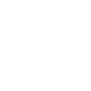 SoftNet Chile EIRL - Pucón - Chile